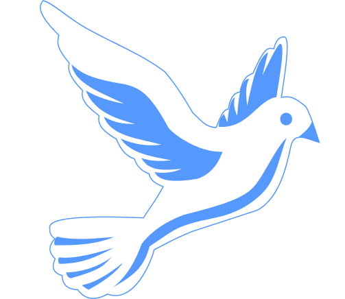 White dove